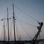 IMGP5631