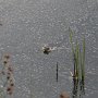 IMG_0226