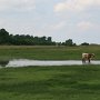 IMG_0245