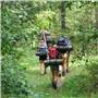 DSCF1106.JPG