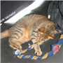 DSCF1139.JPG