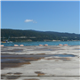 DSCF1217.JPG