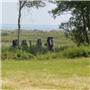 Pfila2014-0003.jpg