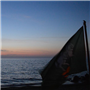 Pfila2014-0007.jpg