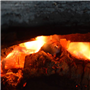 Pfila2014-0014.jpg