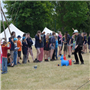 Pfila2014-0047.jpg