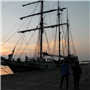 9-DSCI0242.jpg